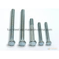 All Kinds of High Quality Bolt and Nut